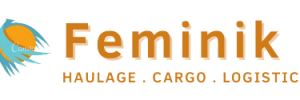 feminik-logo